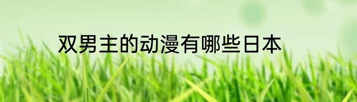 双男主的动漫有哪些日本