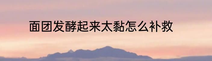 面团发酵起来太黏怎么补救