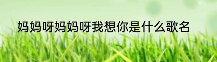 妈妈呀妈妈呀我想你是什么歌名