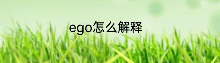 ego怎么解释