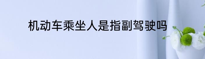 机动车乘坐人是指副驾驶吗