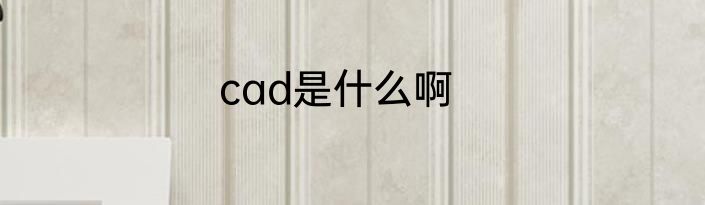 cad是什么啊