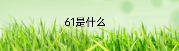 61是什么