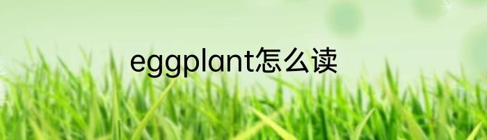 eggplant怎么读