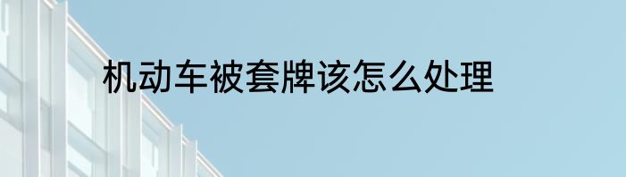 机动车被套牌该怎么处理
