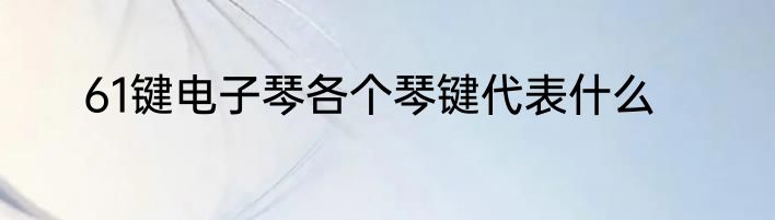 61键电子琴各个琴键代表什么