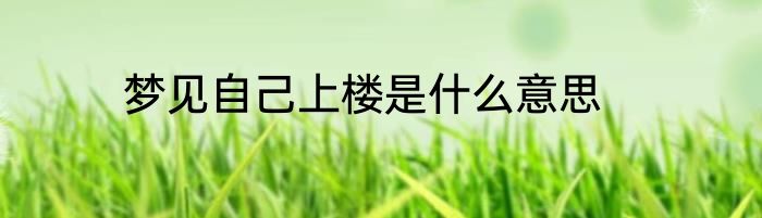 梦见自己上楼是什么意思