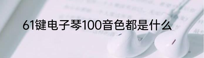 61键电子琴100音色都是什么
