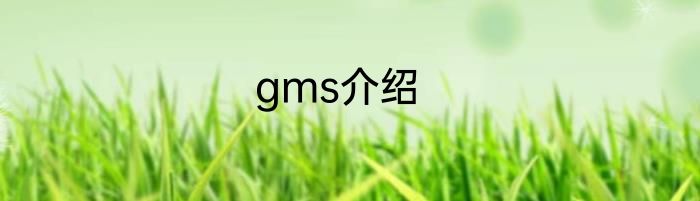 gms介绍