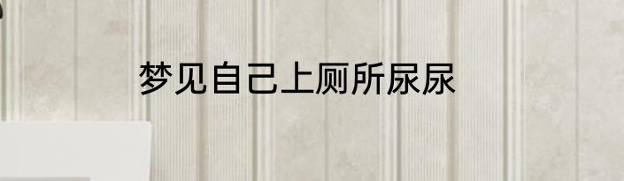 梦见自己上厕所尿尿