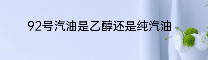 92号汽油是乙醇还是纯汽油