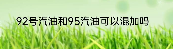 92号汽油和95汽油可以混加吗