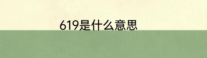 619是什么意思