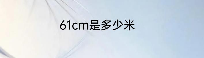 61cm是多少米