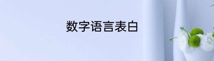 数字语言表白