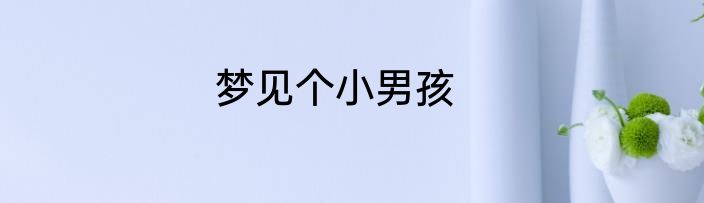 梦见个小男孩