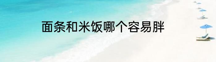 面条和米饭哪个容易胖