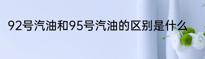92号汽油和95号汽油的区别是什么