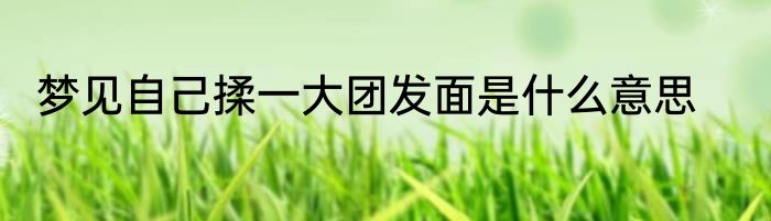 梦见自己揉一大团发面是什么意思