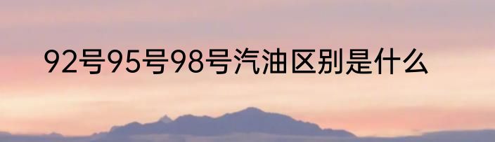 92号95号98号汽油区别是什么