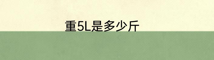 重5L是多少斤