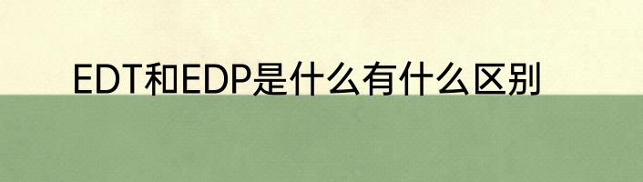 EDT和EDP是什么有什么区别
