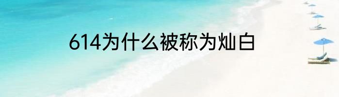 614为什么被称为灿白