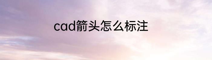 cad箭头怎么标注