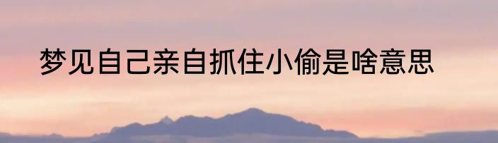 梦见自己亲自抓住小偷是啥意思