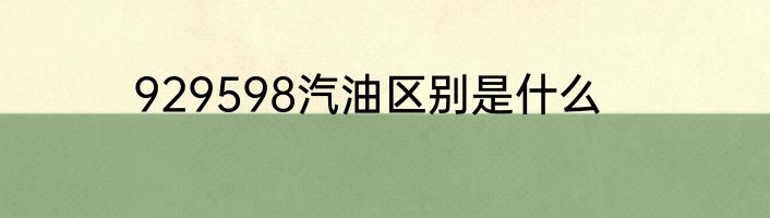 929598汽油区别是什么
