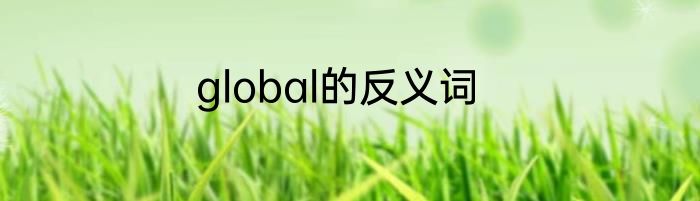 global的反义词