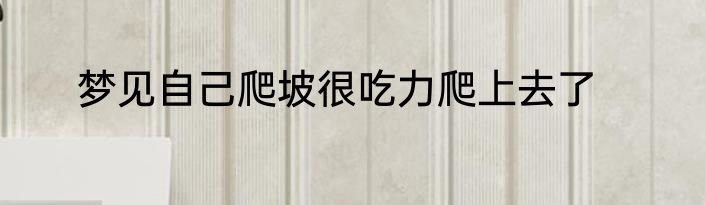 梦见自己爬坡很吃力爬上去了