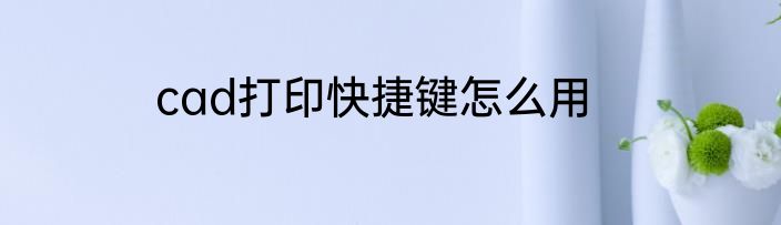 cad打印快捷键怎么用