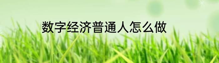 数字经济普通人怎么做