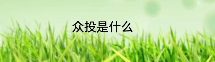 众投是什么