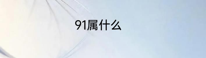 91属什么