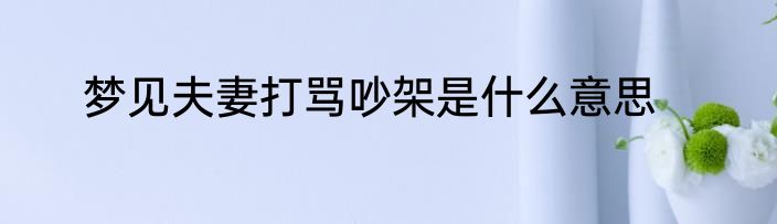 梦见夫妻打骂吵架是什么意思