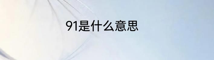 91是什么意思