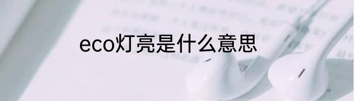 eco灯亮是什么意思
