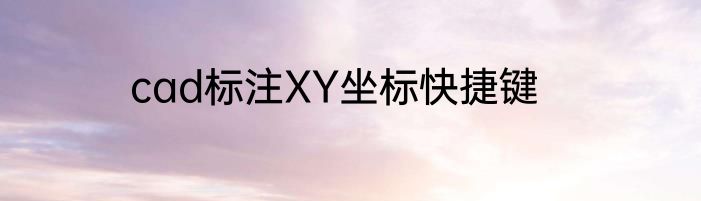 cad标注XY坐标快捷键