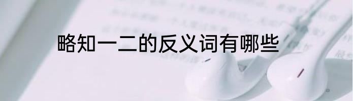 略知一二的反义词有哪些
