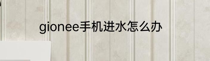 gionee手机进水怎么办