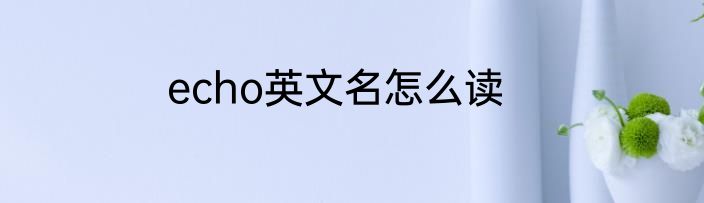 echo英文名怎么读