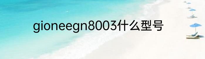 gioneegn8003什么型号