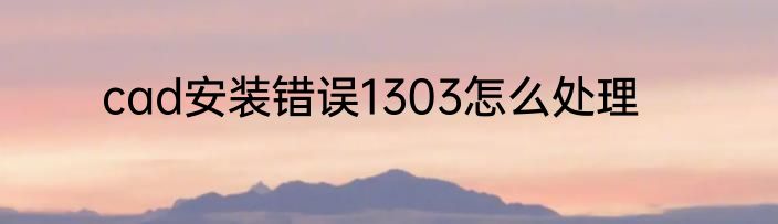 cad安装错误1303怎么处理