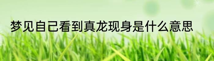 梦见自己看到真龙现身是什么意思