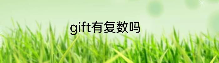 gift有复数吗