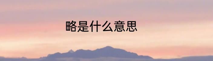 略是什么意思