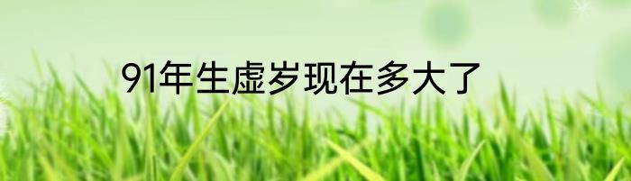 91年生虚岁现在多大了