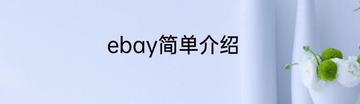 ebay简单介绍